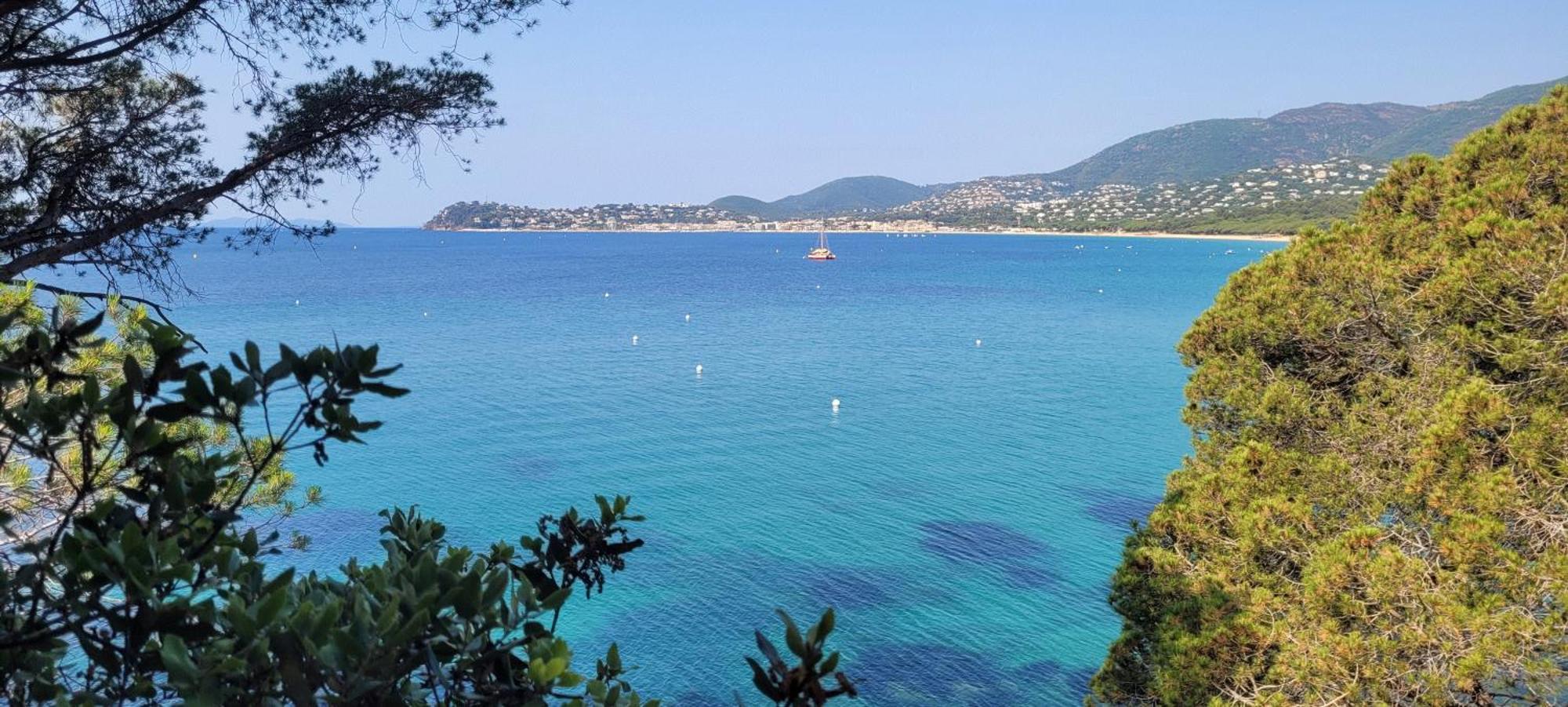 Appart T3 A 50 M De La Plage Кавалере-сюр-Мер Екстериор снимка